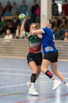 Bild 156 - F HSG Kremperheide/Muensterdorf - HSG Holstein Kiel/Kronshagen : Ergebnis: 31:26